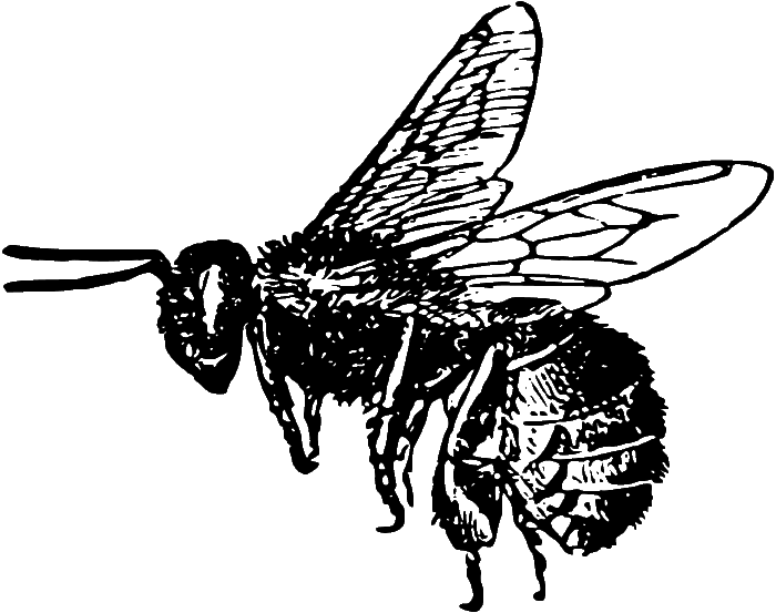 Primary Raster logo